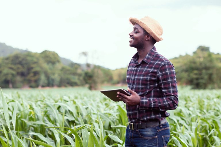 Farmer in field with laptop, Eb18