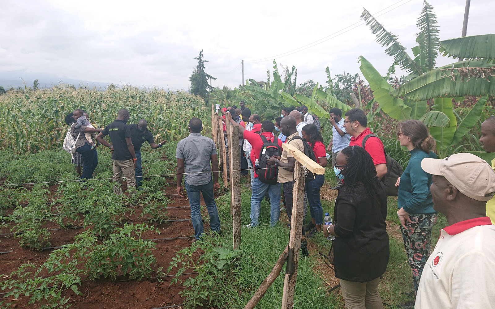 Visit to a farm during 2SCALE