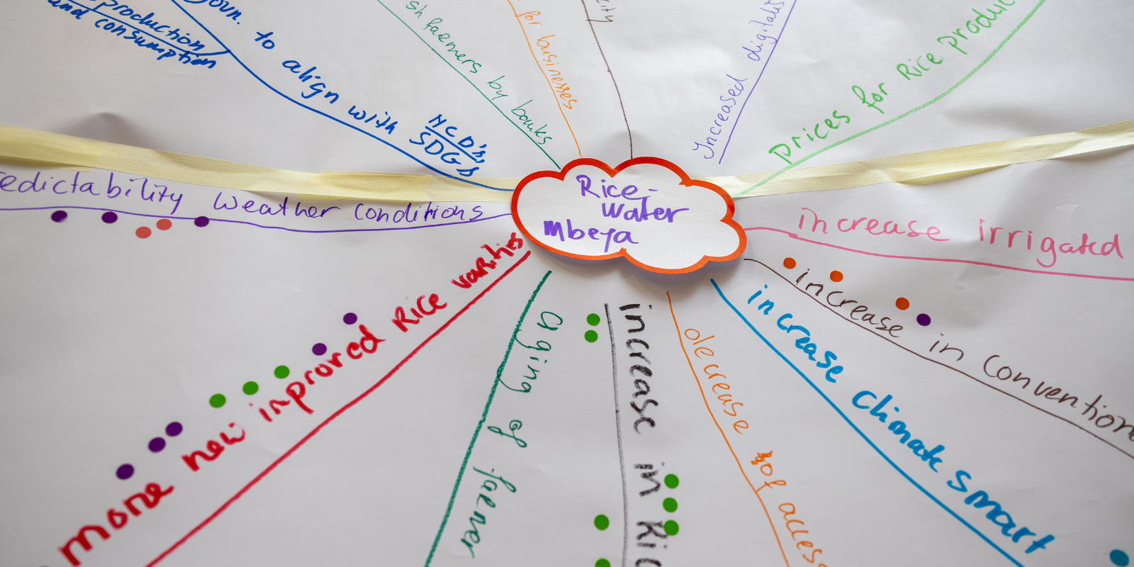 Close up of a trend map created exploring issues around water management in Mbeya, Tanzania's rice sector, Eb12