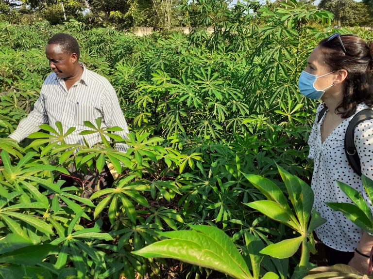 Man standing in a field with iCRA staff member